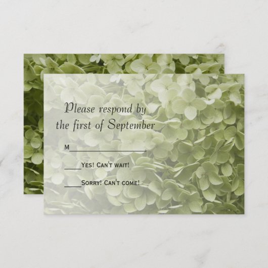 Green Annabelle Hydrangea Mariage Floral RSVP (Devant / Derrière)