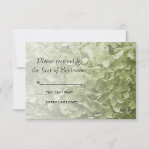 Green Annabelle Hydrangea Mariage Floral RSVP