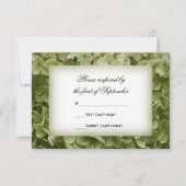 Green Annabelle Hydrangea Mariage Floral RSVP (Devant)