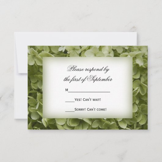 Green Annabelle Hydrangea Mariage Floral RSVP (Devant)