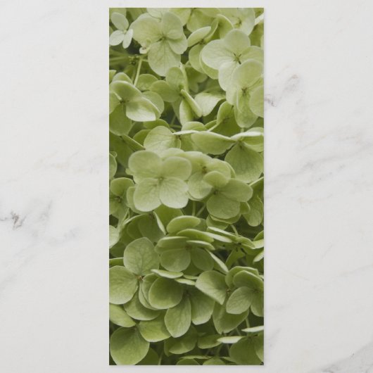 Green Annabelle Hydrangea Programme de mariage (Dos)