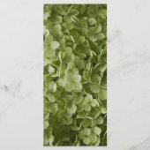 Green Annabelle Hydrangea Programme de mariage de (Devant)
