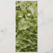 Green Annabelle Hydrangea Wedding Programme Programma (Achterkant)