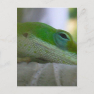 Green Anole Lizard Briefkaart