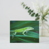Green Anole Lizard Briefkaart (Staand voorkant)