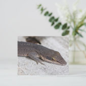 Green Anole Lizard closeup Briefkaart (Staand voorkant)
