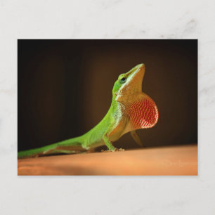Green Anole Lizard met Red Thraot Briefkaart