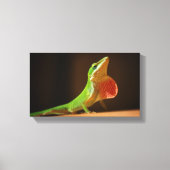 Green Anole Lizard met Red Thraot Canvas Afdruk (Voorkant)