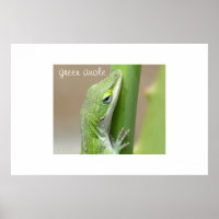 Green Anole