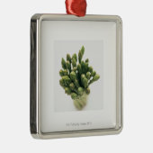 Green Asparagus Metalen Ornament (Rechts)