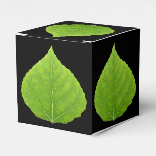 Green Aspen Leaf #11 Bedankdoosjes (Voorkant Zijde)
