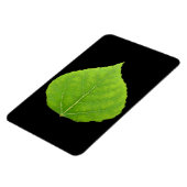 Green Aspen Leaf #11 Magneet (Linkerzijde)