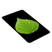 Green Aspen Leaf #11 Magneet (Rechterzijde)