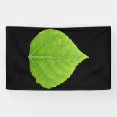 Green Aspen Leaf #11 Spandoek (Horizontaal)