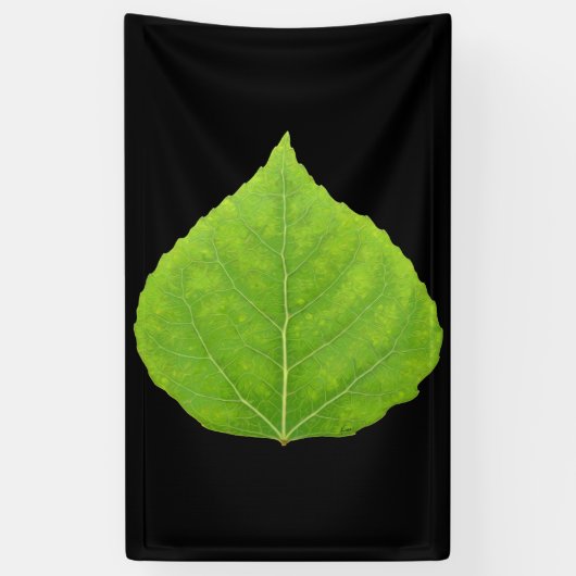Green Aspen Leaf #11 Spandoek (Verticaal)