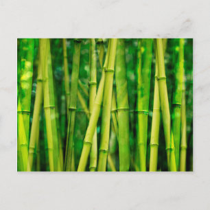 Green Bamboo Briefkaart