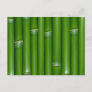 Green Bamboo Briefkaart