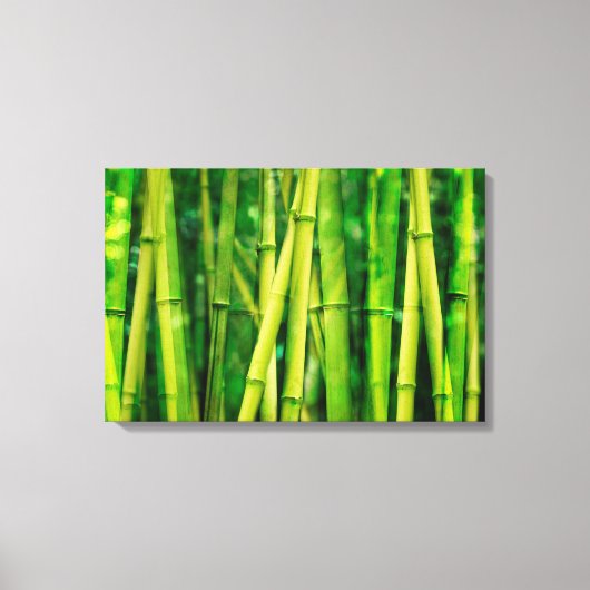 Green Bamboo Canvas Afdruk (Voorkant)