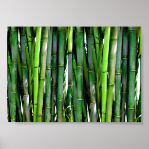 Green Bamboo Stalks Natuur Fotografie Poster