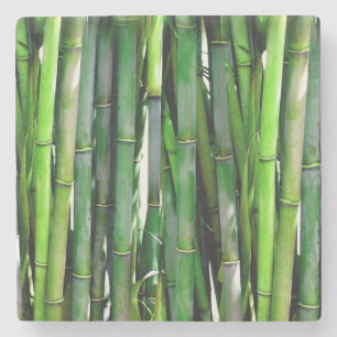 Green Bamboo Stalks Natuur Fotografie Stenen Onderzetter