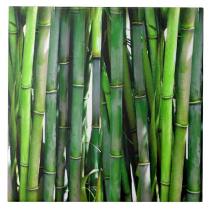 Green Bamboo Stalks Natuur Fotografie Tegeltje