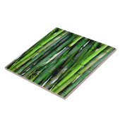 Green Bamboo Stalks Natuur Fotografie Tegeltje (Zijkant)