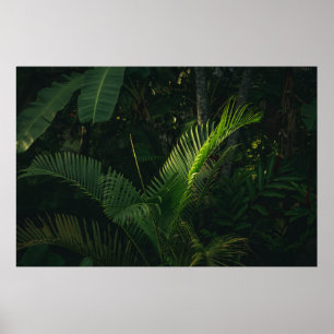 GREEN BANANA TREE TIJDENS DAG POSTER