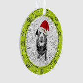 Green Bandana Animal de compagnie Photo NOM Fun No (devant)