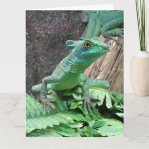 Green Basilisk Kaart