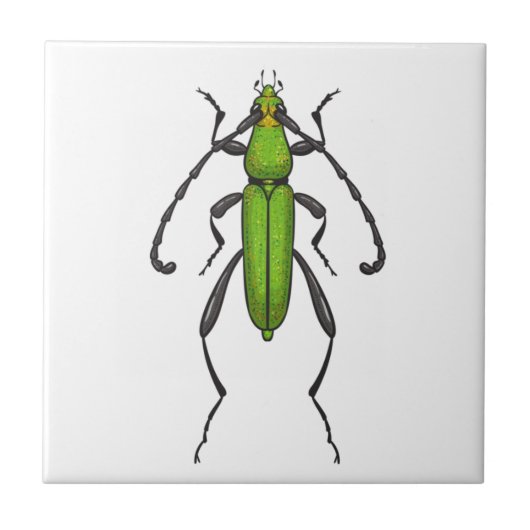 Green beetle tegeltje (Voorkant)