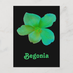 Green Begonia  Briefkaart