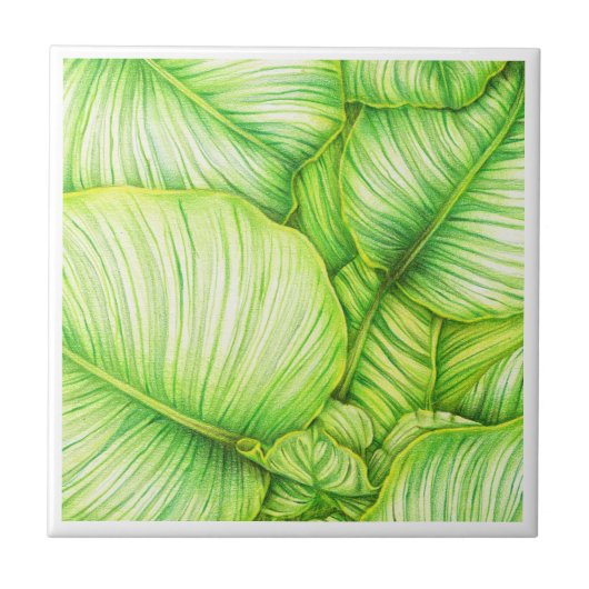 Green Botanical Ceramic Tile Tegeltje (Voorkant)