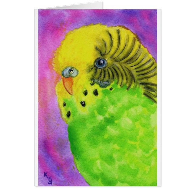 Green Budgie (Voorkant)