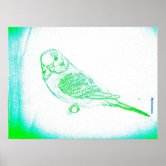 Green Budgie Portrait Poster