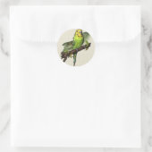 Green Budgie Stickers (Tas)