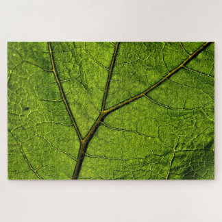 Green Butterbur Leaf Legpuzzel