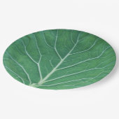 Green Cabbage Leaf 0933 Papieren Bordje (Gekanteld)