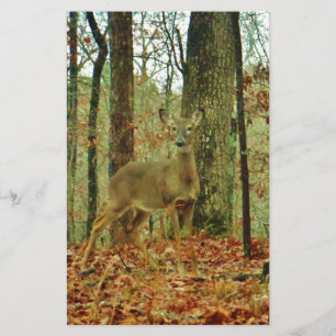 Green Camo, Camouflage Deer Briefpapier