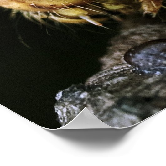 Green Caterstone Poster (Hoek)