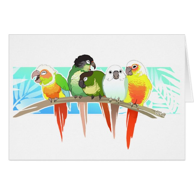 Green Cheek Conures (Voorkant Horizontaal)