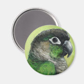 "Green Cheeked Conure" Vogelkunstmagneet Magneet (Voorkant / Achterkant)