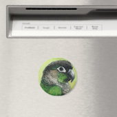 "Green Cheeked Conure" Vogelkunstmagneet Magneet (Insitu (Vaatwasser))