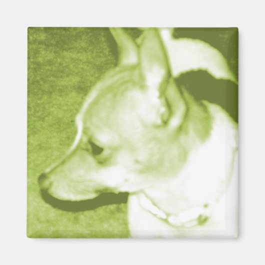 Green Chihuahua Pop Art Magnet Magneet (Voorkant)