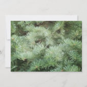 Green Christmas Tree Pine Fête Invitation (Dos)