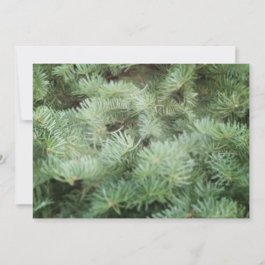 Green Christmas Tree Pine Fête Invitation (Dos)