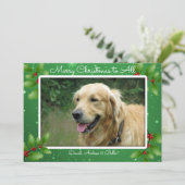 Green Christmas Twinkings Stars Big Carte photo (Debout devant)