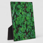 Green Clover Fotoplaat (Zijkant)