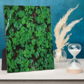Green Clover Fotoplaat (Zijkant)