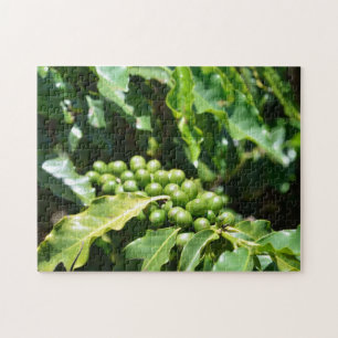 Green Coffee Berries Puzzle Legpuzzel