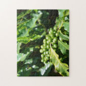Green Coffee Berries Puzzle Legpuzzel (Verticaal)